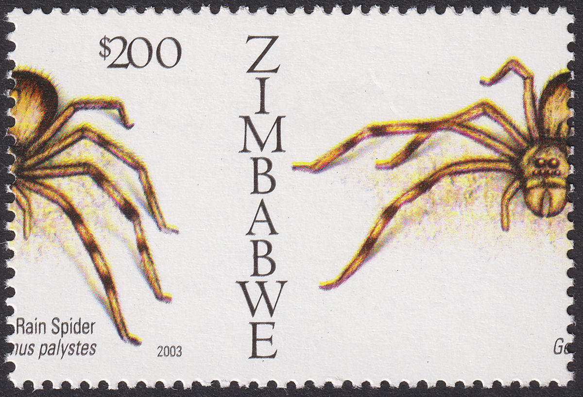 Zimbabwe 2003 Rain Spider $200 with Spectacular Misperforation Mint SG1109var