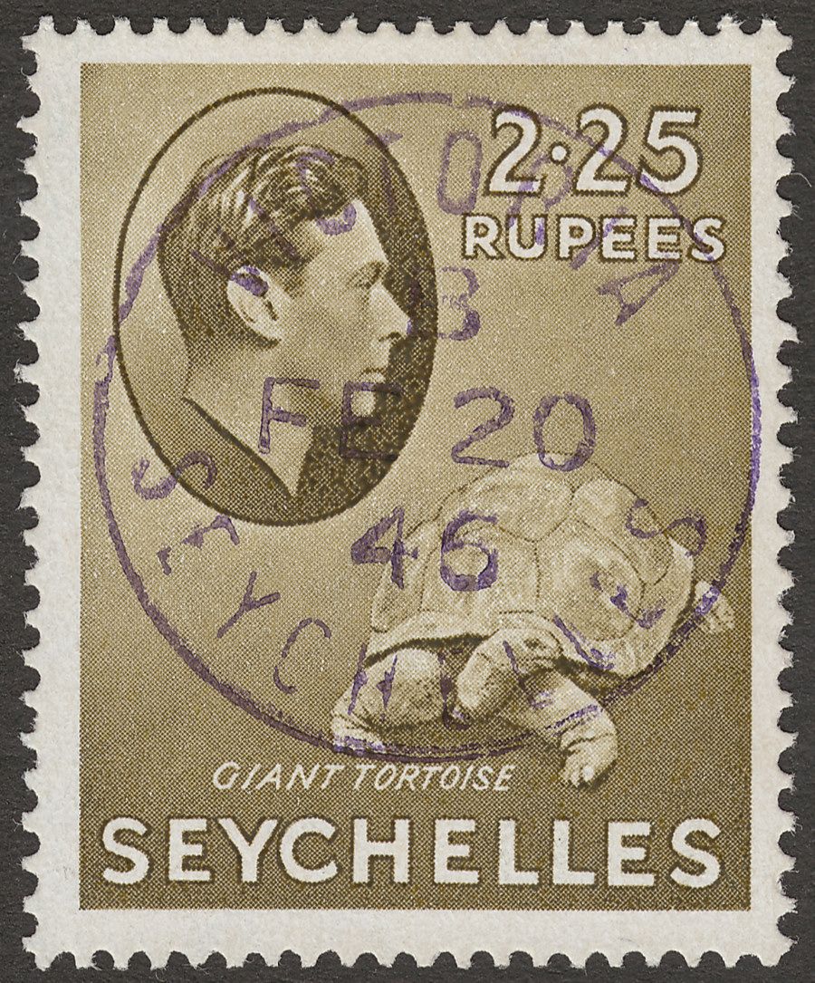 Seychelles 1942 KGVI Tortoise 2r25c Olive Used SG148a