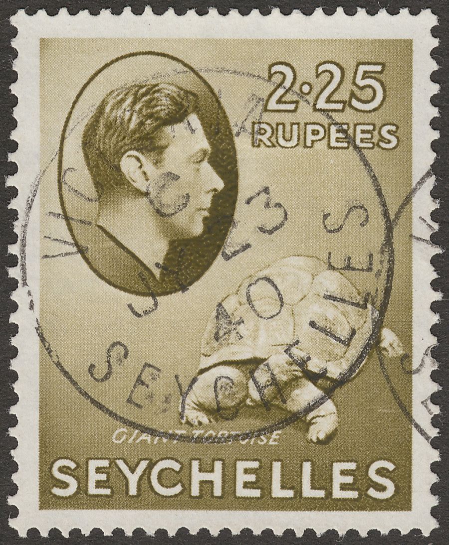 Seychelles 1938 KGVI Tortoise 2r25c Olive Chalky Used SG148