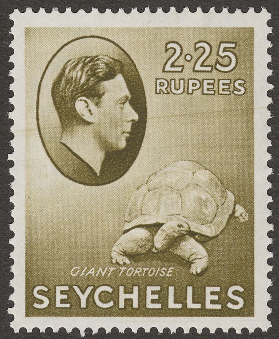 Seychelles 1938 KGVI Tortoise 2r25c Olive Chalky Mint SG148