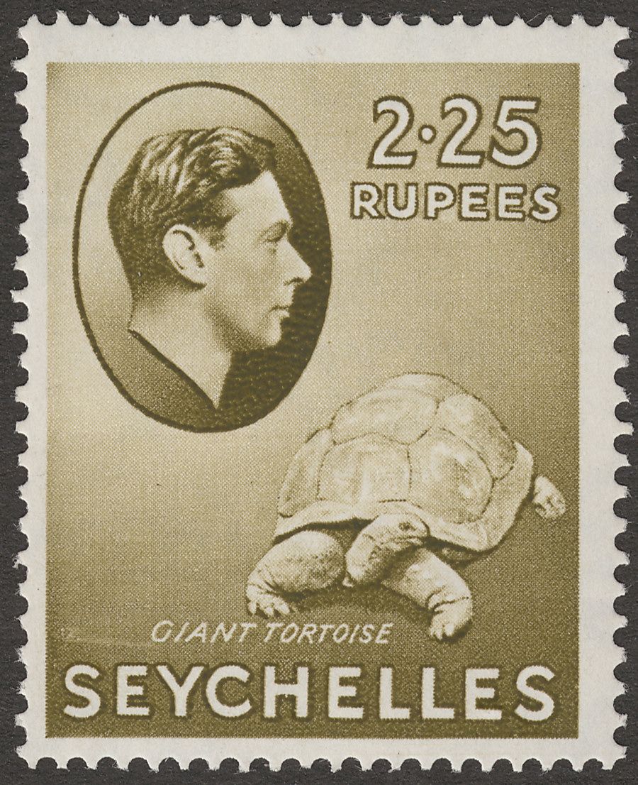 Seychelles 1938 KGVI Tortoise 2r25c Olive Chalky Mint SG148
