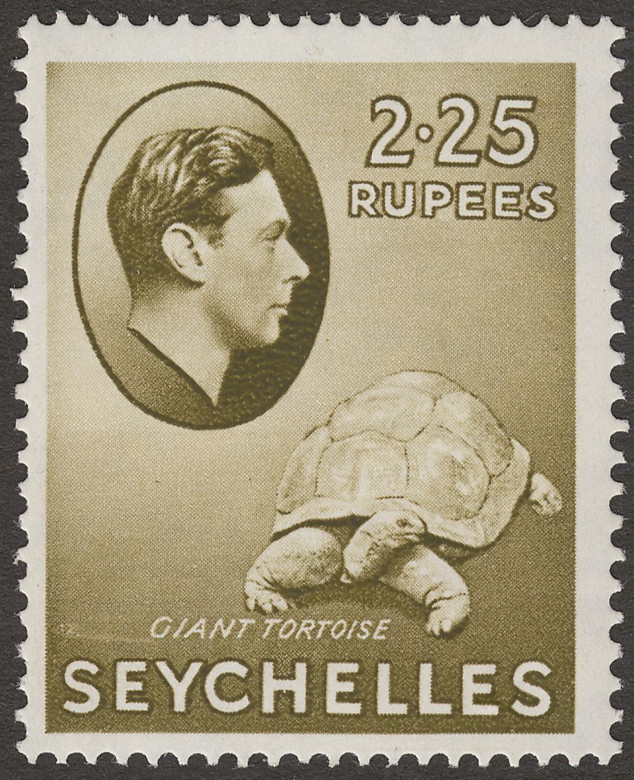 Seychelles 1938 KGVI Tortoise 2r25c Olive Chalky Mint SG148