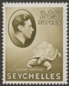 Click for more photos and details Seychelles 1938 KGVI Tortoise 2r25c Olive Chalky Mint SG148