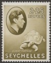 Seychelles 1938 KGVI Tortoise 2r25c Olive Chalky Mint SG148