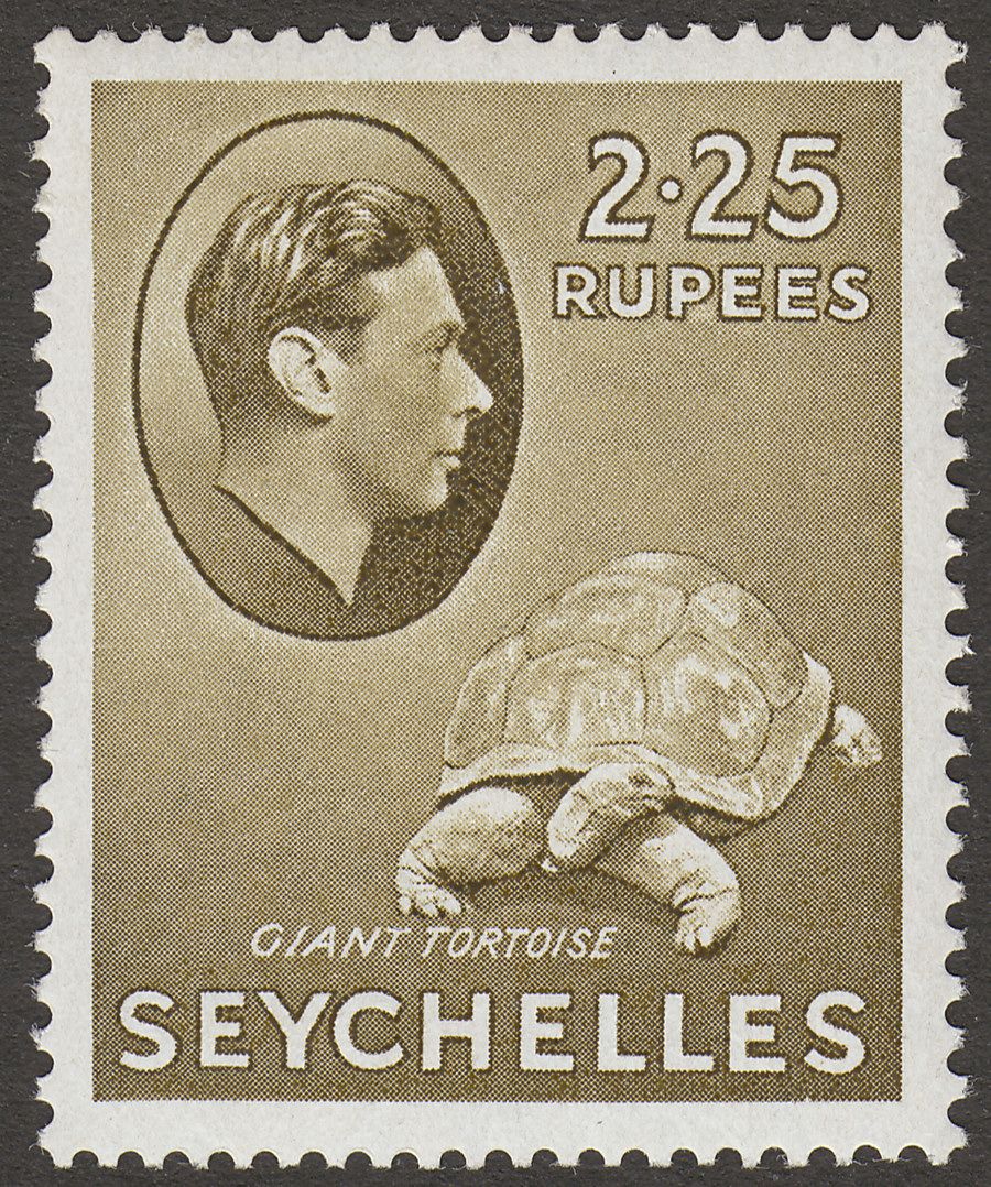 Seychelles 1942 KGVI Tortoise 2r25c Olive Mint SG148a