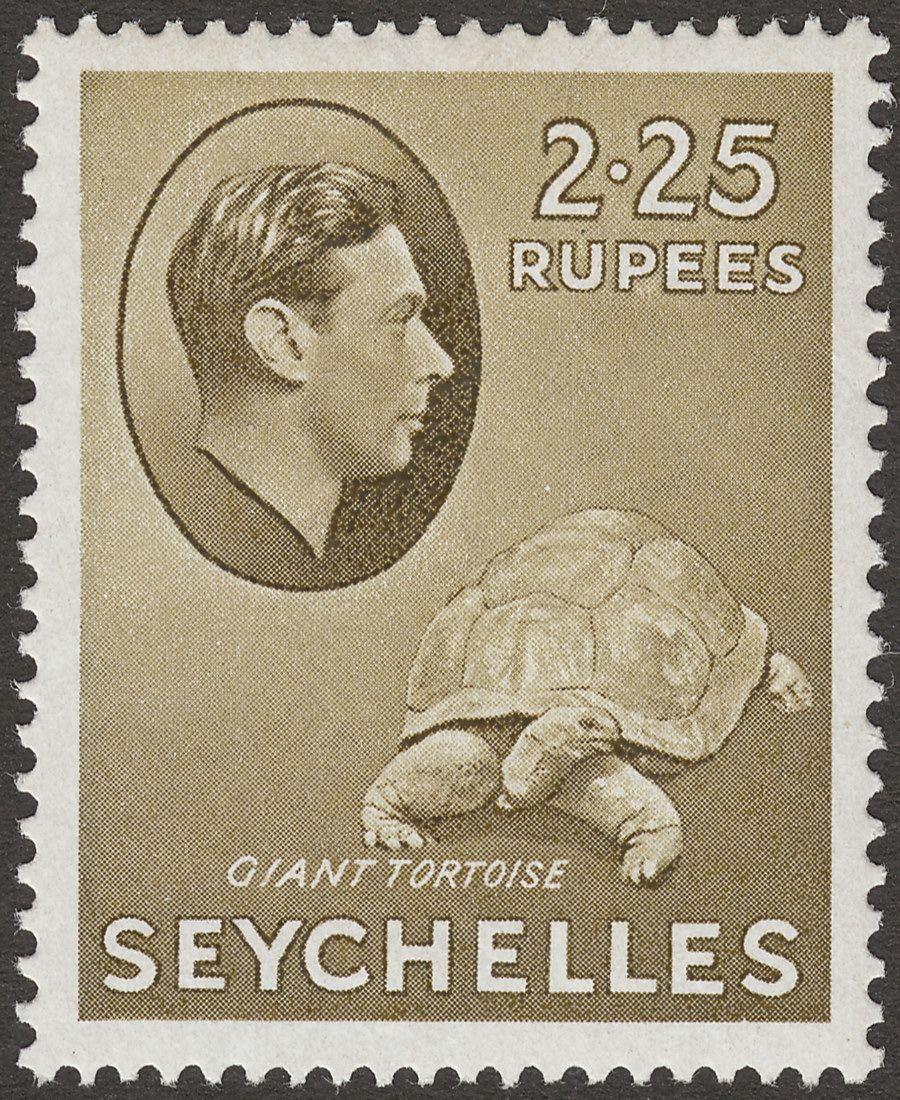 Seychelles 1942 KGVI Tortoise 2r25c Olive Mint SG148a