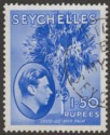Click for more photos and details Seychelles 1938 KGVI Palm Tree 1r50c Ultramarine Chalky Used SG147