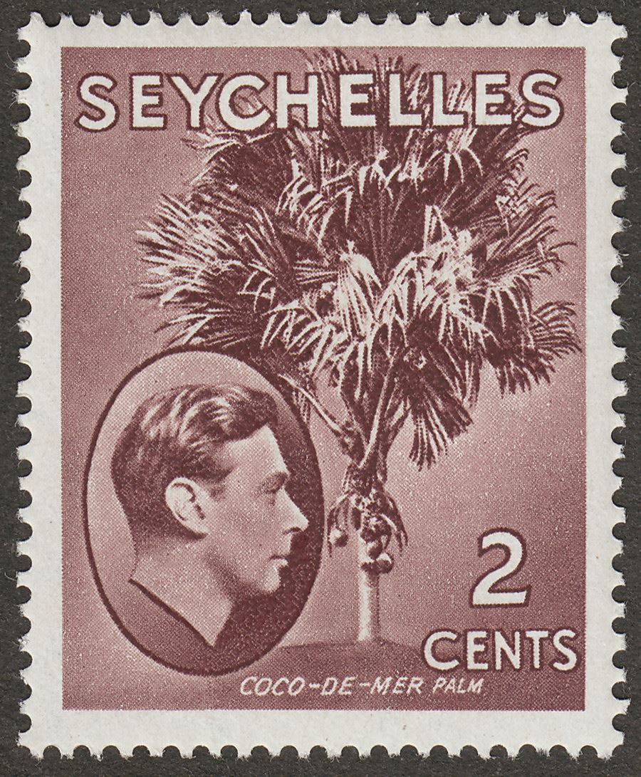 Seychelles 1949 KGVI Palm Tree 2c Brown Chalky Mint SG135