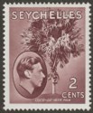 Seychelles 1949 KGVI Palm Tree 2c Brown Chalky Mint SG135