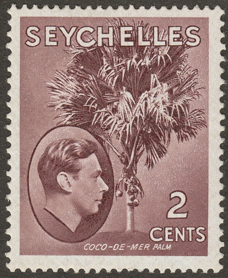 Seychelles 1942 KGVI Palm Tree 2c Purple-Brown Mint SG135a