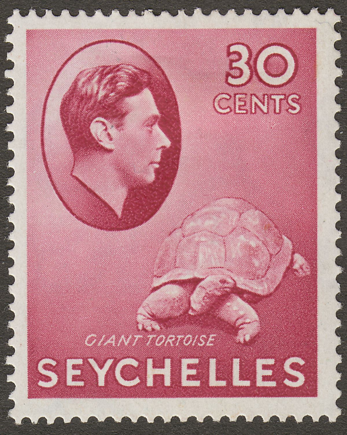 Seychelles 1938 KGVI Tortoise 30c Carmine Mint SG142 cat £50
