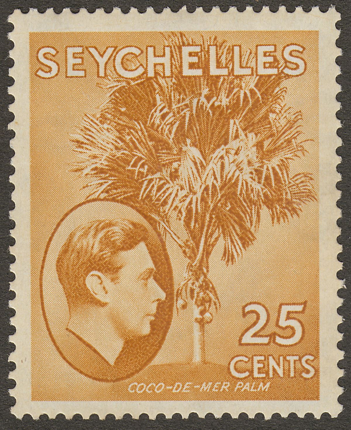 Seychelles 1938 KGVI Palm Tree 25c Brown-Ochre Mint SG141 cat £50
