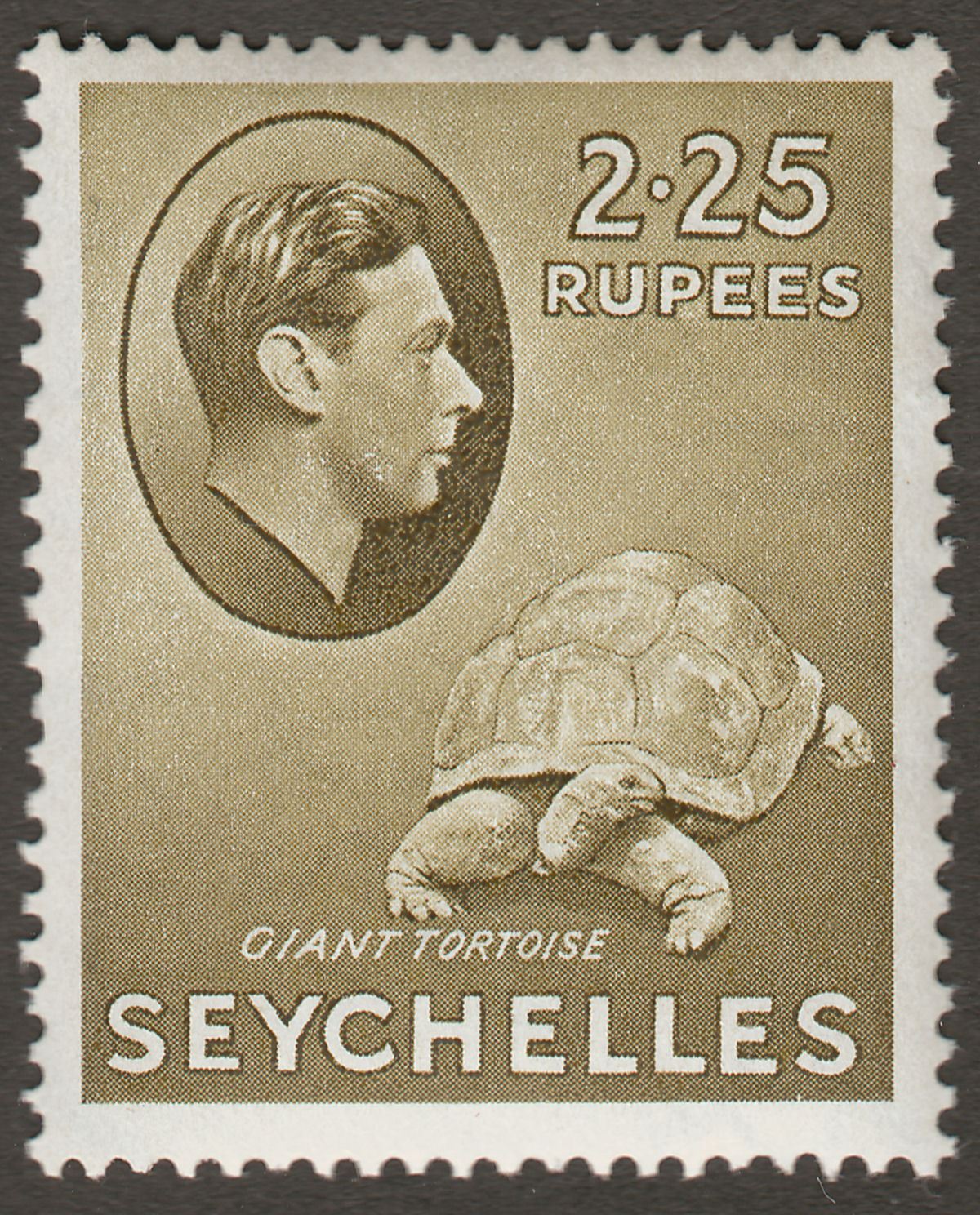 Seychelles 1942 KGVI Tortoise 2r25c Olive Mint SG148a cat £32