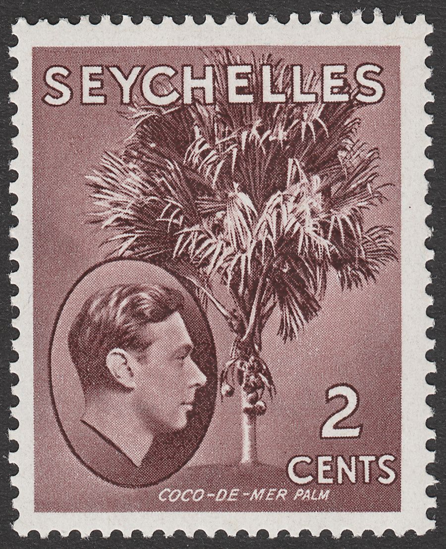 Seychelles 1949 KGVI Palm Tree 2c Brown Chalky Mint SG135