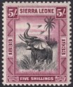 Click for more photos and details Sierra Leone 1933 KGV Wilberforce Elephant 5sh Black and Purple Mint SG178 c£160