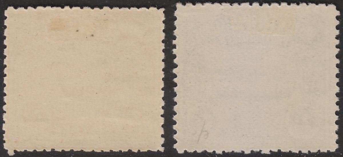 British Solomon Islands 1907 KEVII Large Canoe 2d, 2½d Mint SG3-4 cat £80