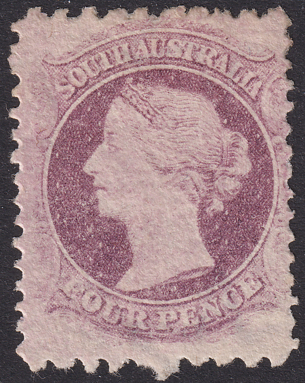 South Australia 1879 QV 4d Dull Purple perf 10x12½ Mint SG138 cat £100