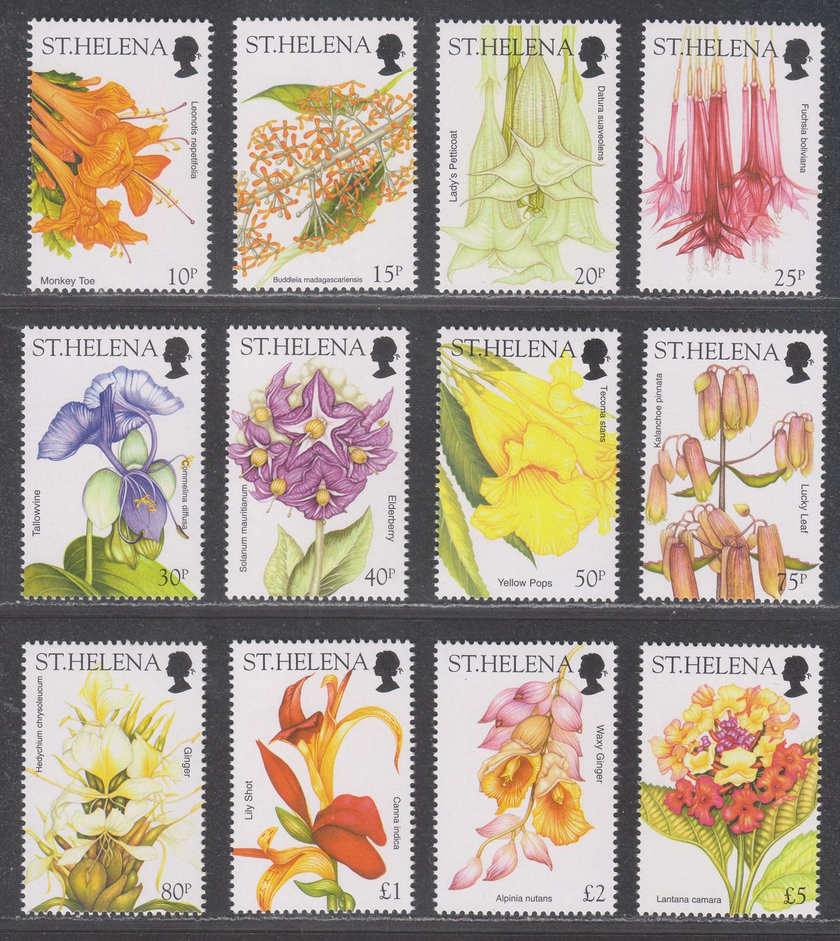 St Helena 2003 QEII Wild Flowers Set UM Mint SG893-904 MNH