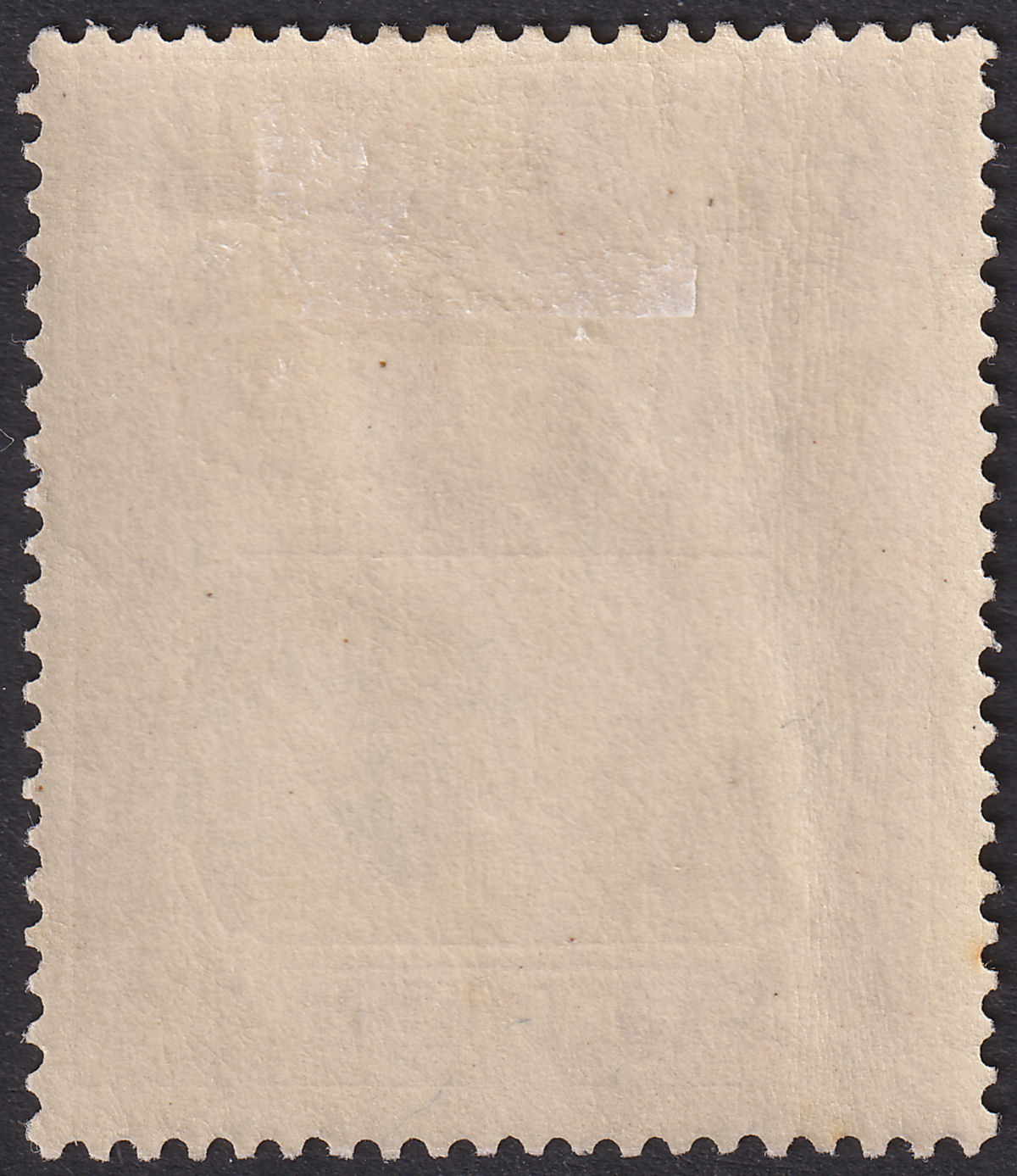 St Helena 1923 KGV 6d Grey and Purple Torn Flag Variety Mint SG104b cat £300