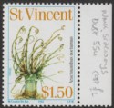 Click for more photos and details St Vincent 1983 QEII Marine Life $1.50 wmk Crown to Left Mint SG712w