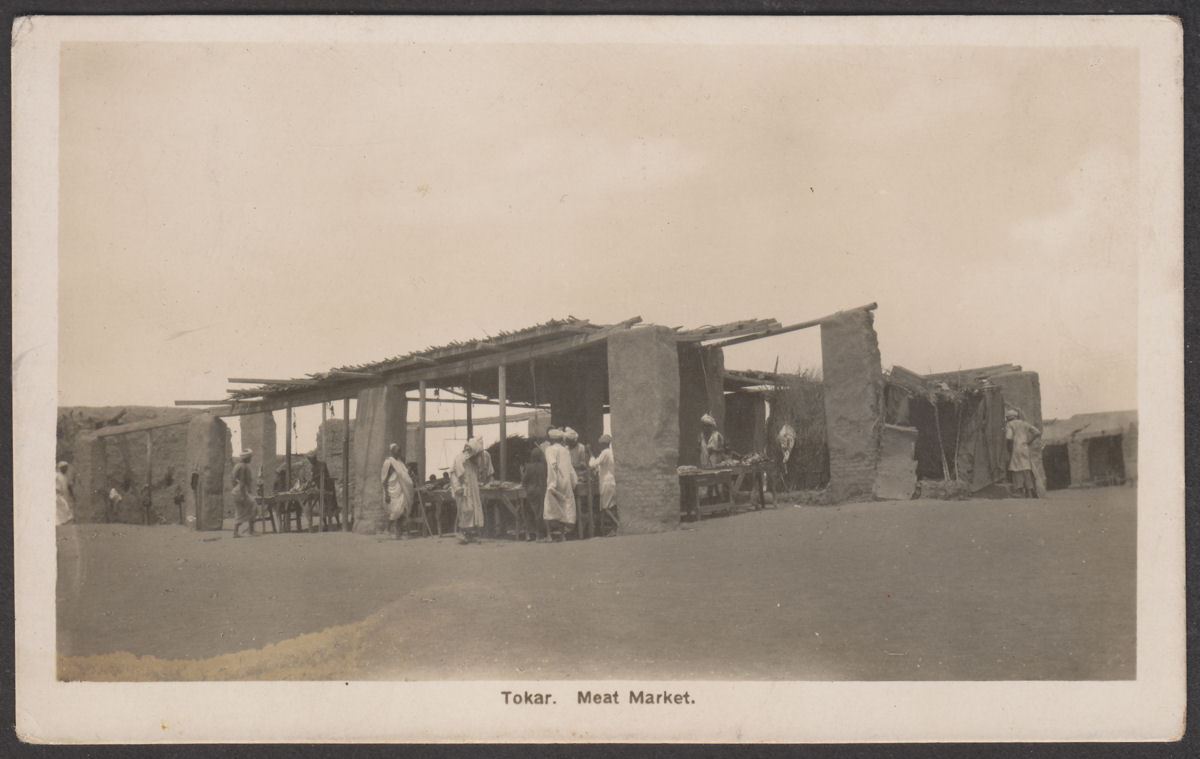 Sudan 1935 KGV 10m, 3m Used on Tokar Meat Market Picture Postcard to Turin Italy