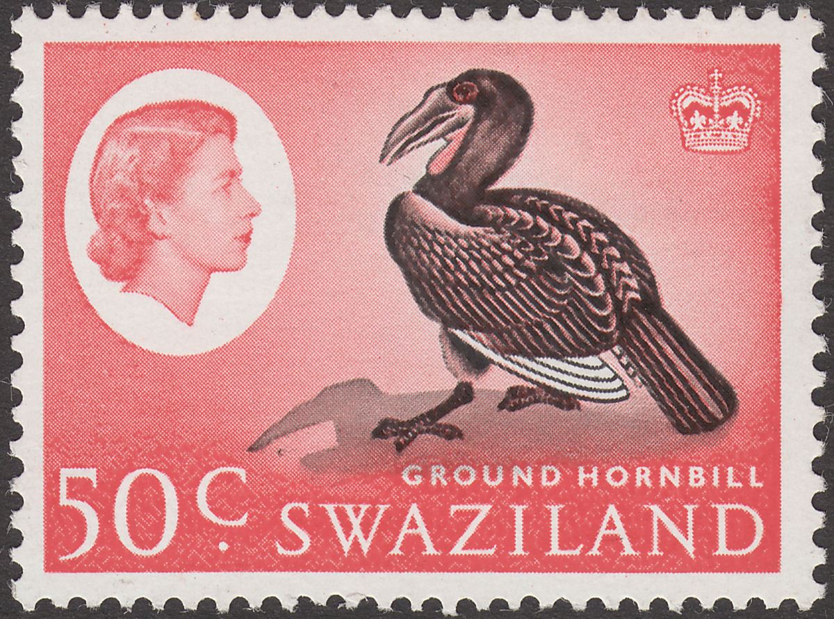 Swaziland 1962 QEII Ground Hornbill 50c Black and Rose-Red Mint SG103
