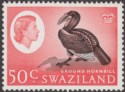 Click for more photos and details Swaziland 1962 QEII Ground Hornbill 50c Black and Rose-Red Mint SG103