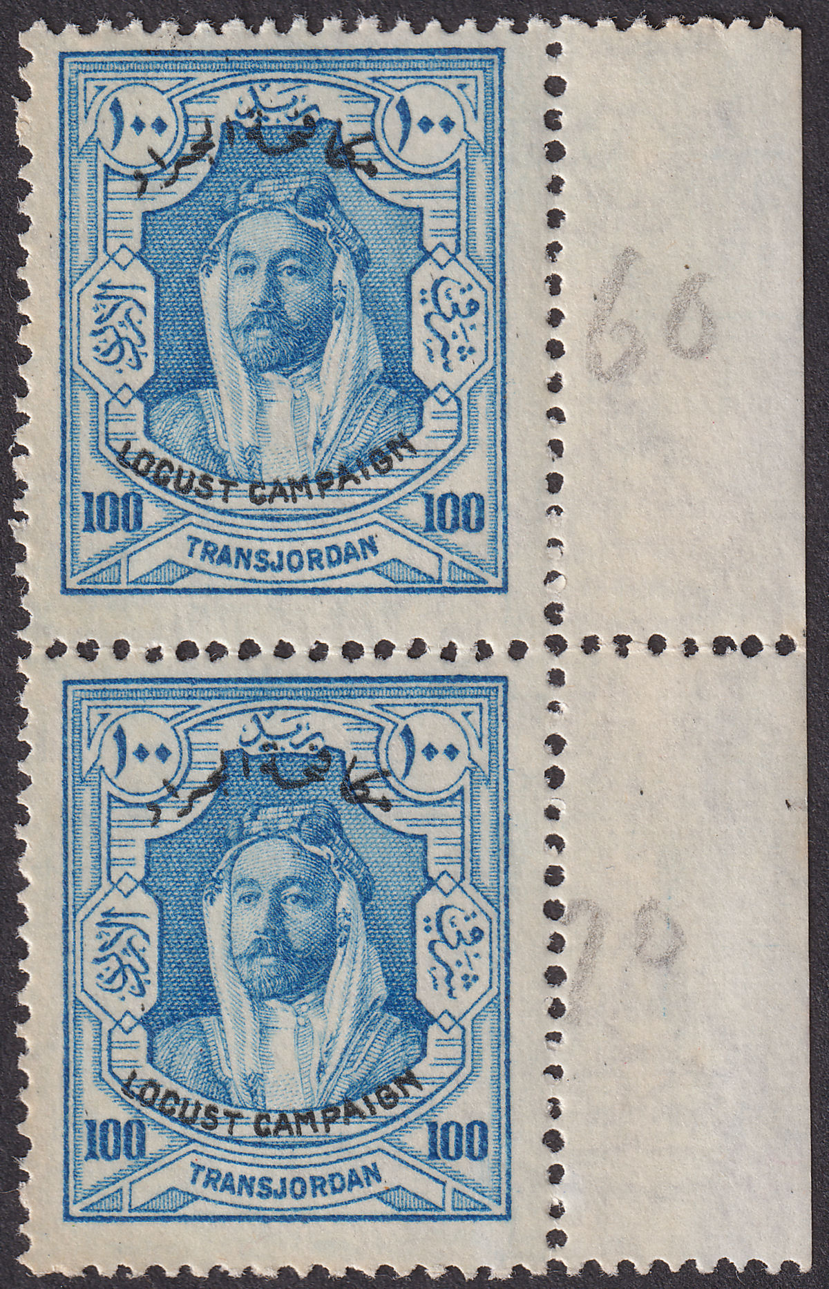 Transjordan 1930 KGV Emir Locust Campaign Overprint 100m Pair Mint SG192 cat £50