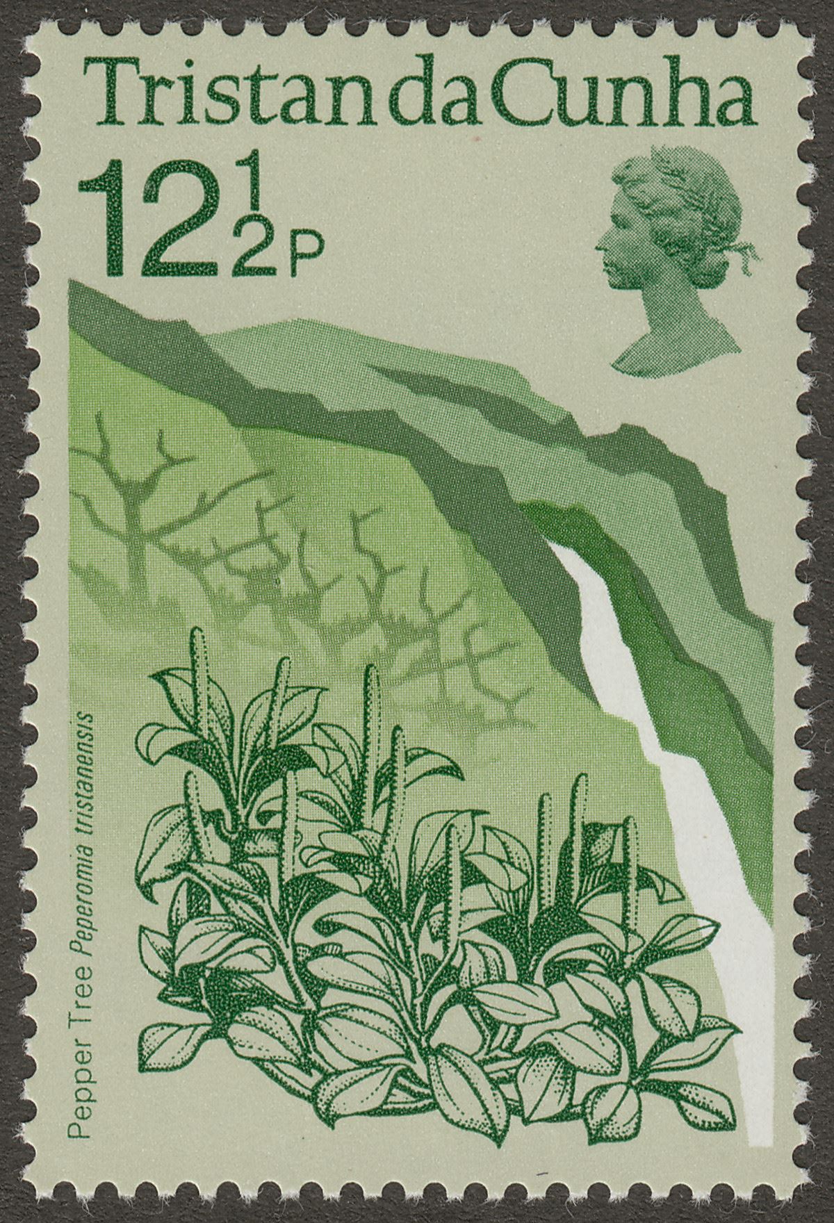 Tristan da Cunha 1972 QEII Pepper Tree 12½p wmk Inverted Mint SG166w