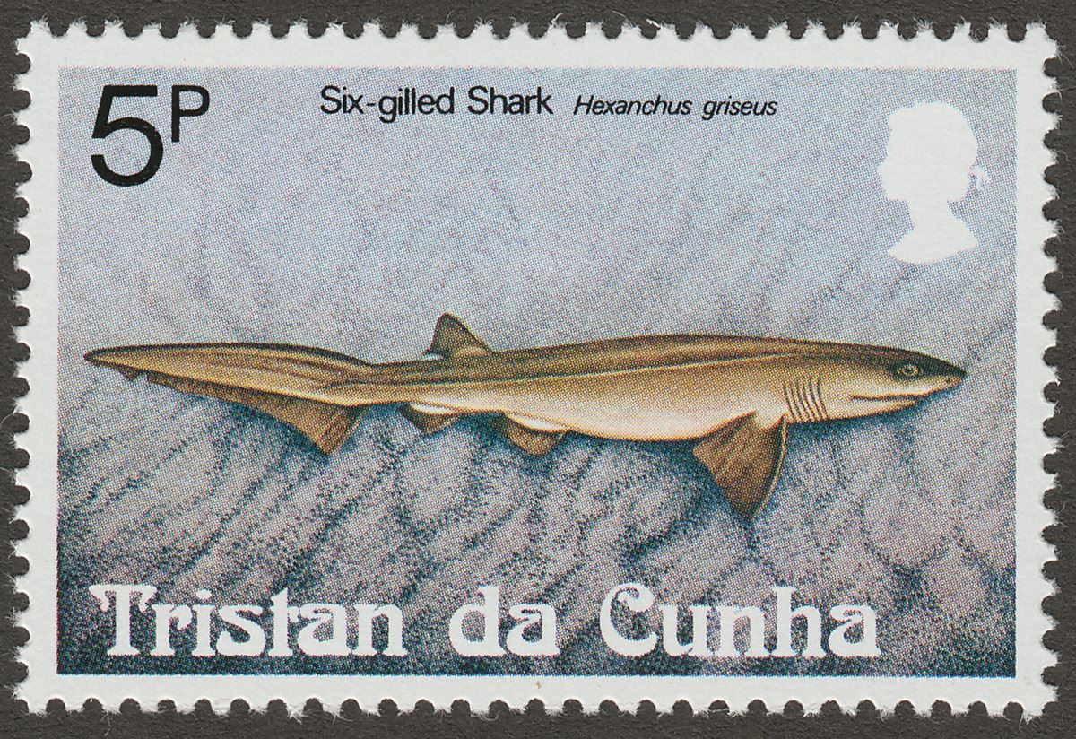 Tristan da Cunha 1982 QEII Sharks 5p wmk Inverted Mint SG319w
