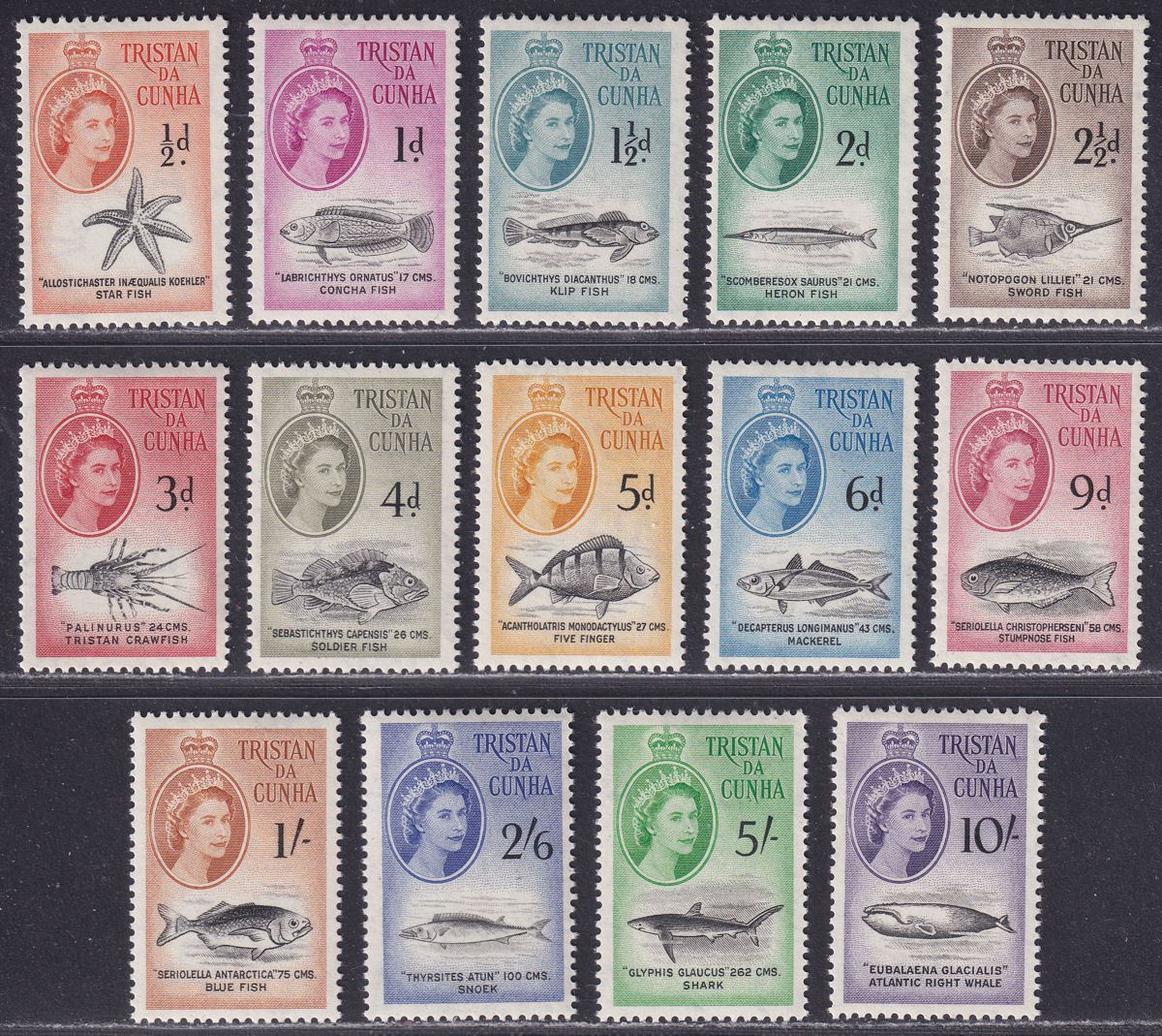 Tristan da Cunha 1960 QEII Marine Life Set Mint SG28-41 cat £75