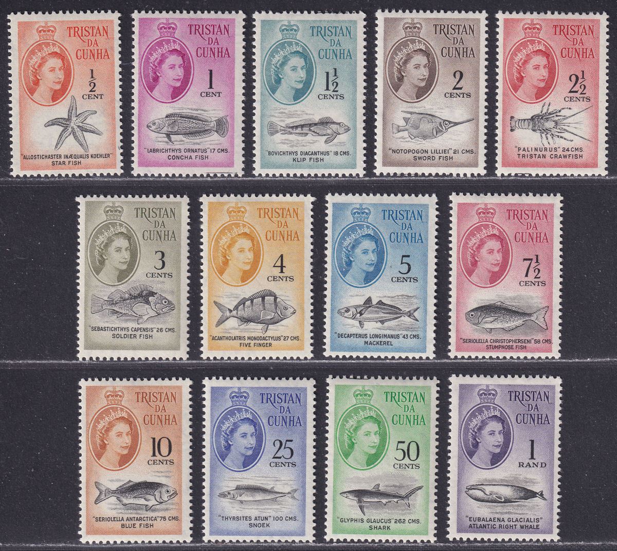 Tristan da Cunha 1961 QEII Marine Life Decimal Set Mint SG42-54 cat £90