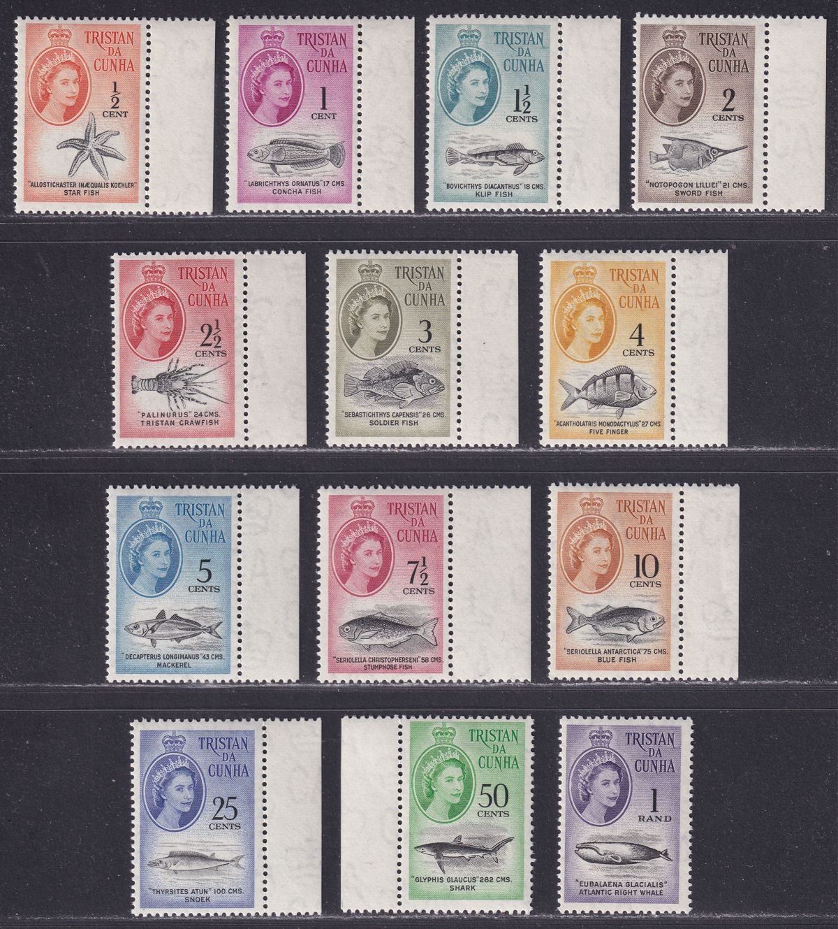Tristan da Cunha 1961 QEII Marine Life Decimal Set UM Mint SG42-54 cat £90 MNH