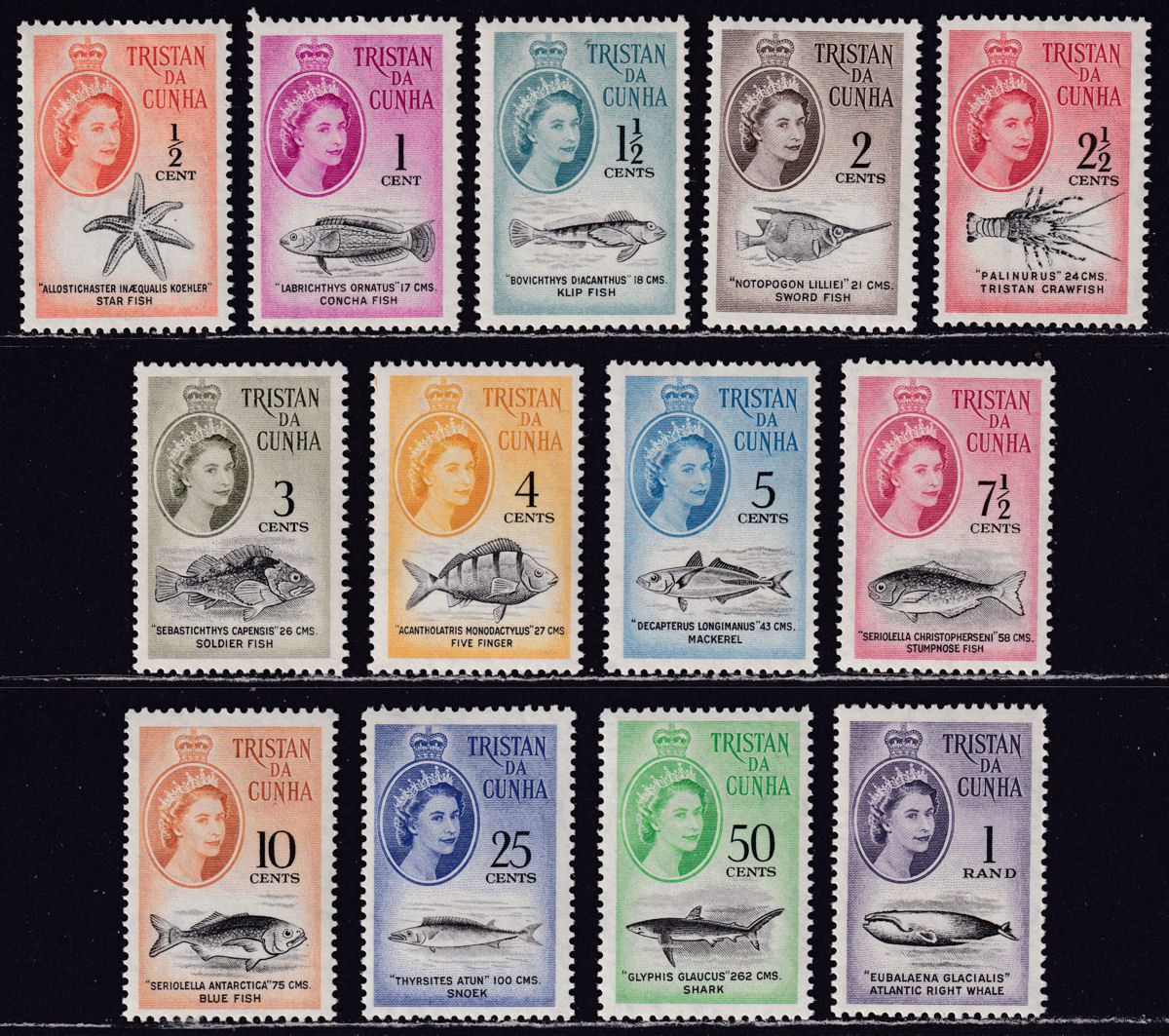 Tristan da Cunha 1961 QEII Marine Life Decimal Set UM Mint SG42-54 cat £90 MNH