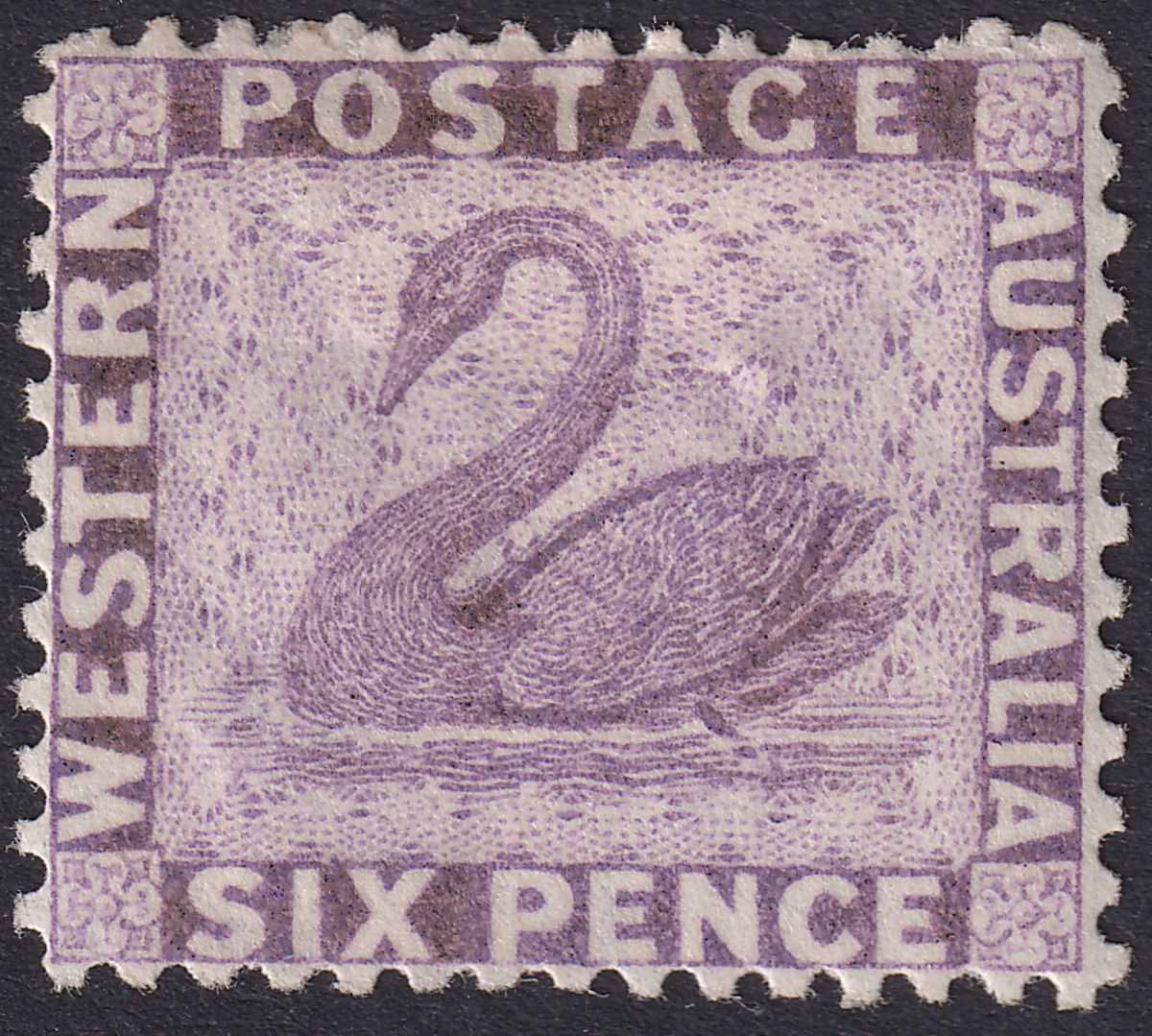Western Australia 1875 QV Swan 6d Mauve? perf 12½ Mint SG60 cat £275