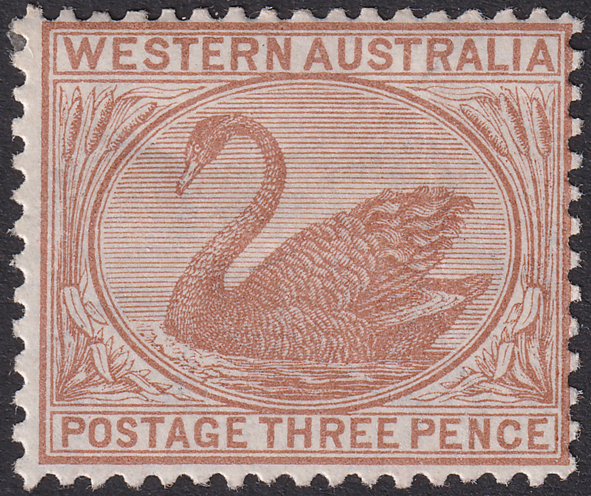 Western Australia 1873 QV Swan 3d Cinnamon Mint SG63a cat £60