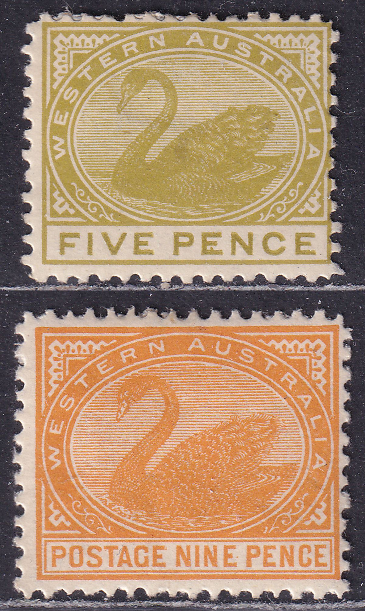 Western Australia 1905 Queen Victoria Swan 5d, 9d Mint SG143a SG145 - thins