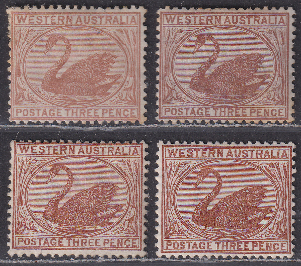 Western Australia 1871-95 QV Swan 3d Selection Mint
