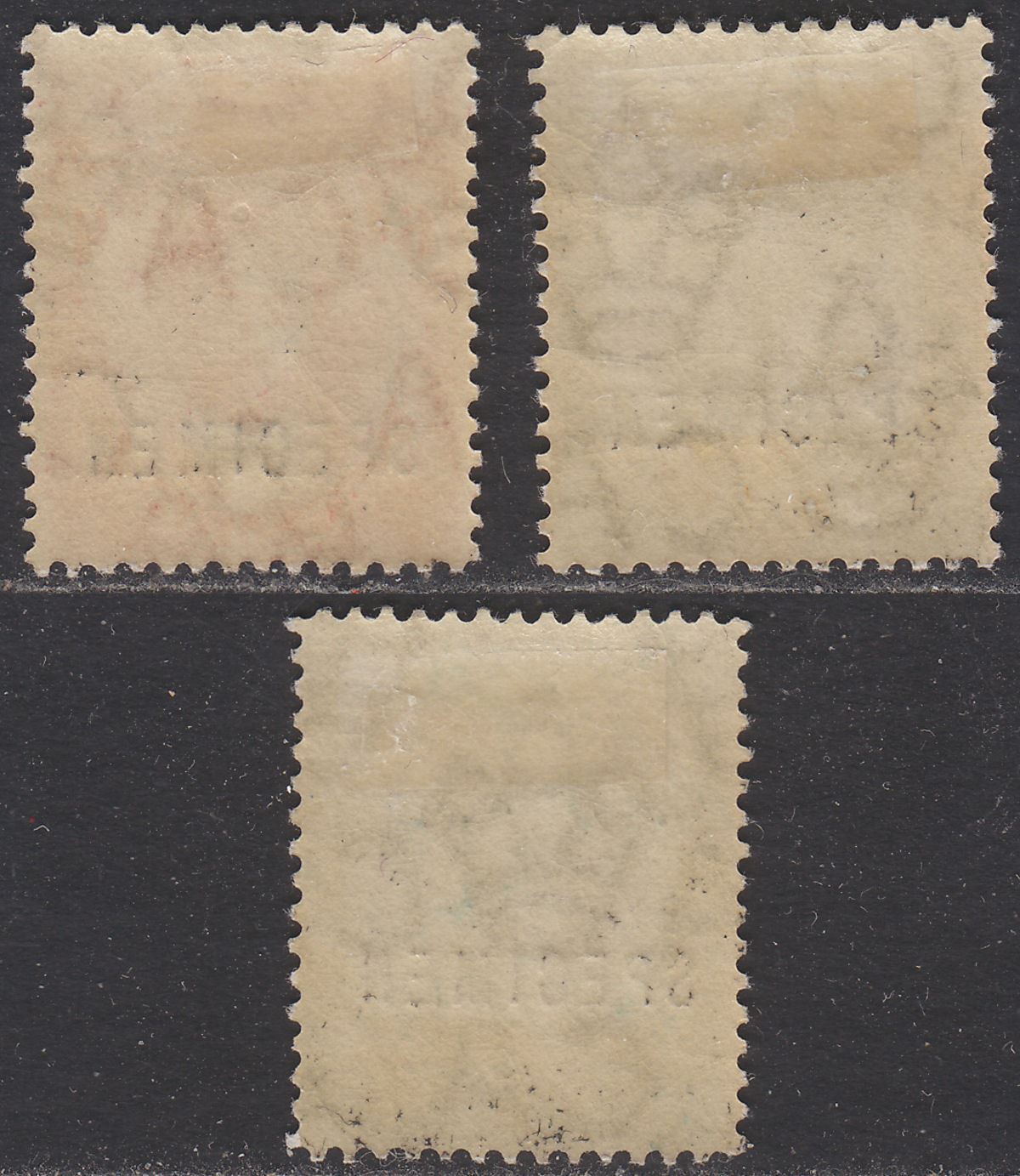 Zanzibar 1914-22 KGV era Sultan Khalifa bin Harub SPECIMEN Opt 1c, 5c, 50c Mint